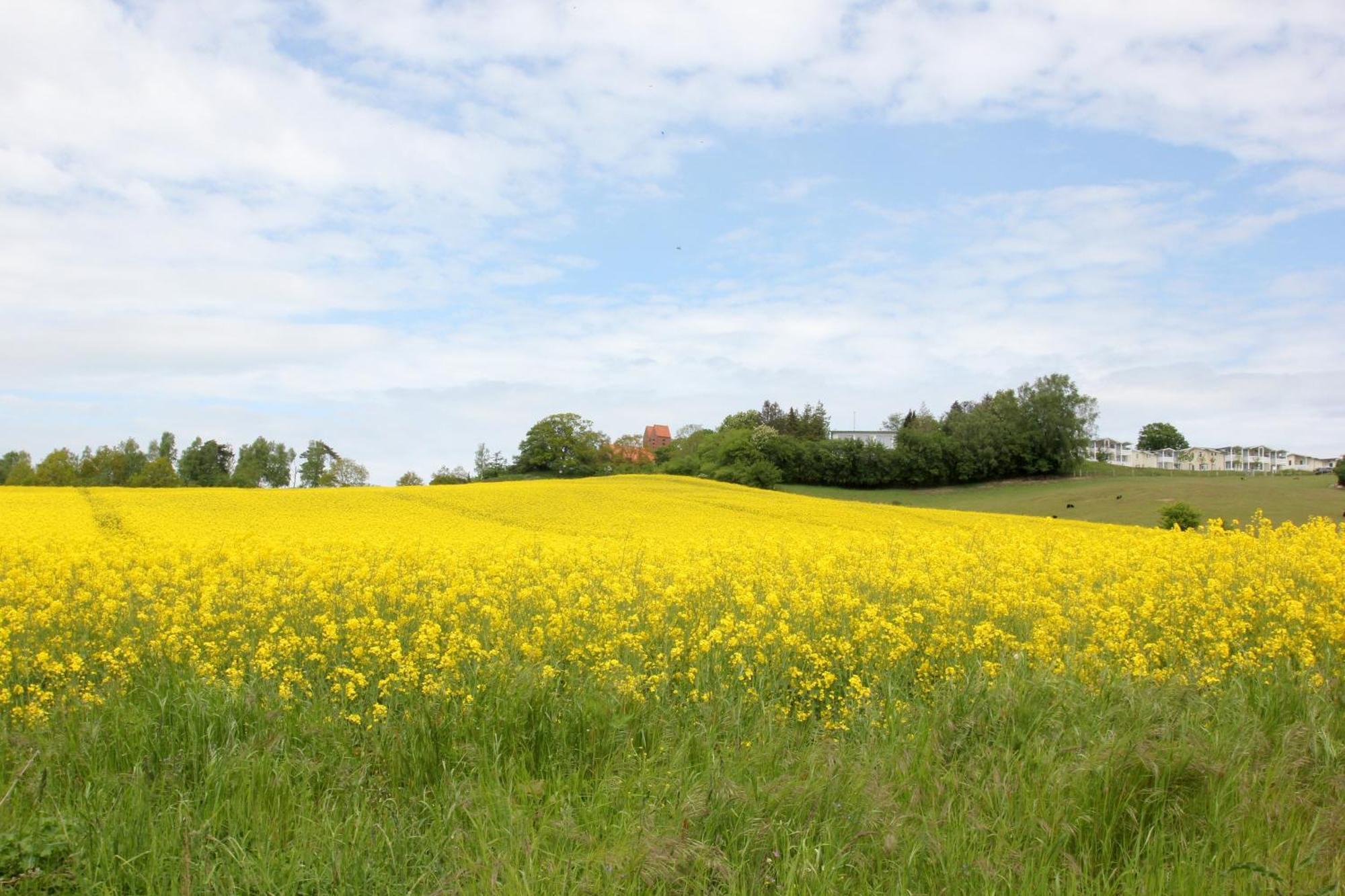 Mit Meerblick Und Balkon, Gratis Nutzung Vom Ahoi Erlebnisbad Und Sauna In Sellin - Meeresblick Fewo 48 Goehren  Esterno foto